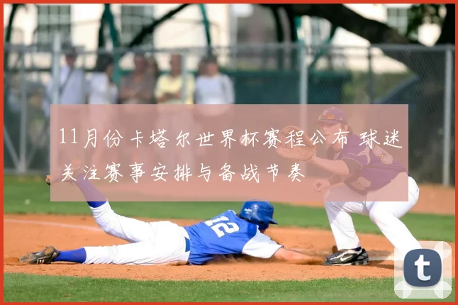 11月份卡塔尔世界杯赛程公布 球迷关注赛事安排与备战节奏